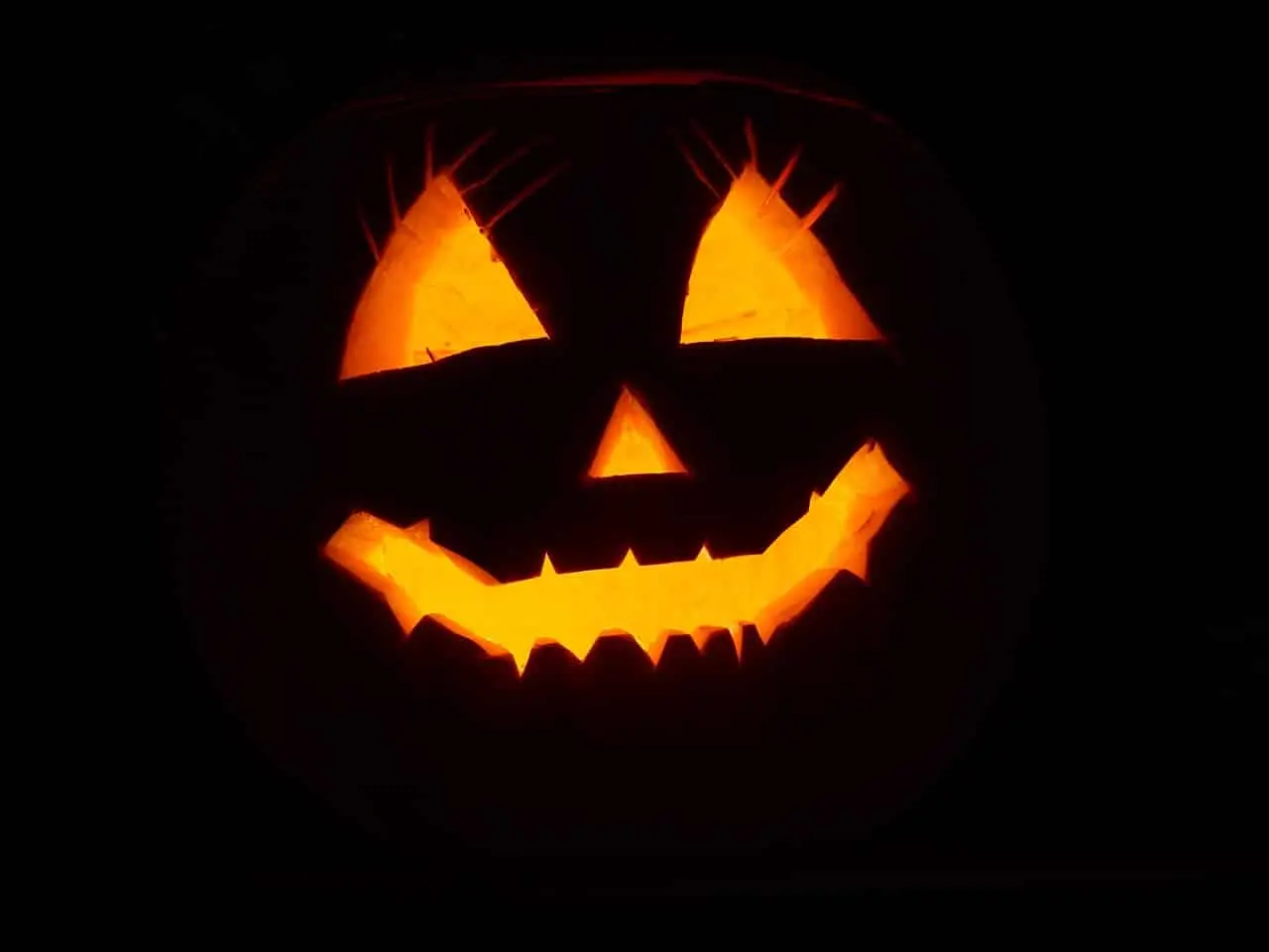 AUDE : Halloween sous surveillance