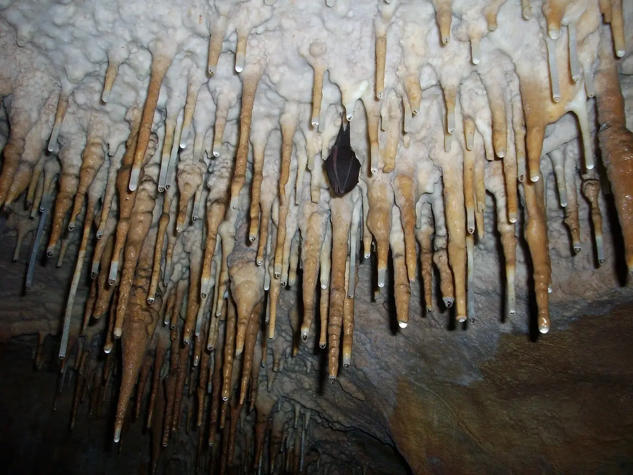 Trabanet : un spéléologue coincé dans un puits à 60 mètres de profondeur !