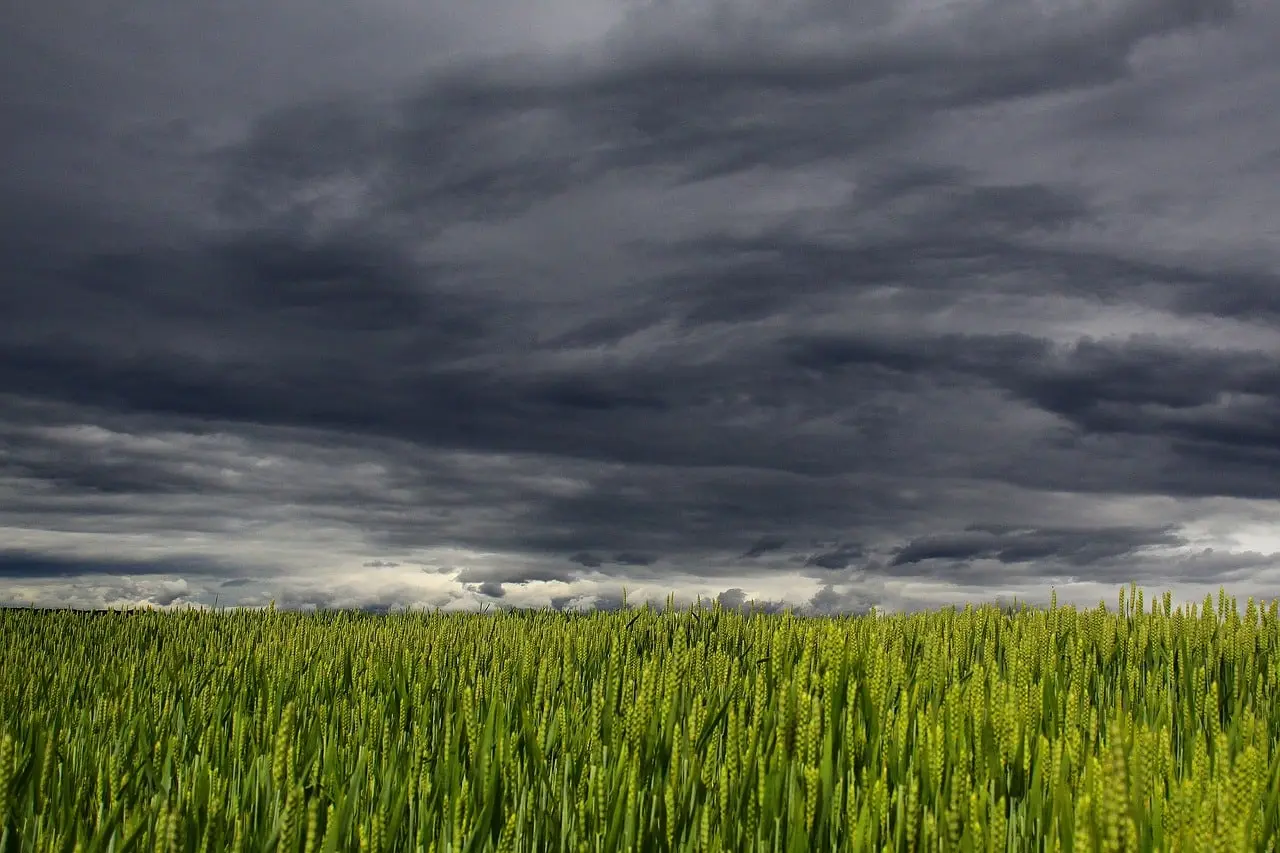 Pays de Sault : après l’orage de cet été, des agriculteurs indemnisés