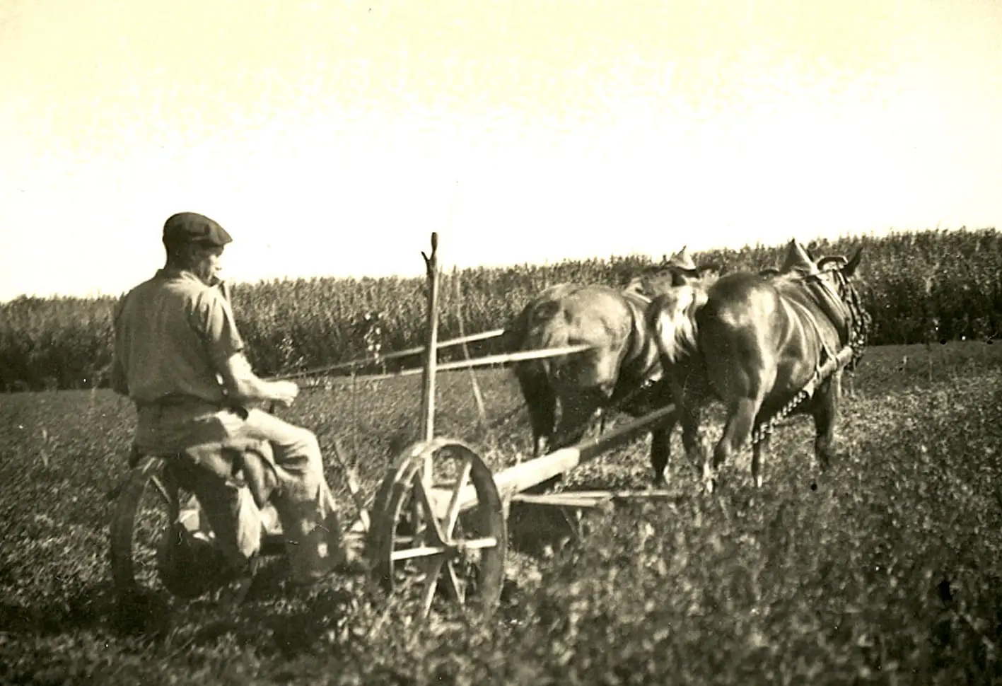 Perpignan : Rencontres d’histoire agricole et rurale