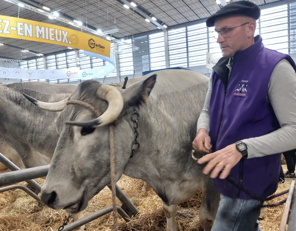 Salon de l’agriculture : l’Ariège reçoit sept distinctions