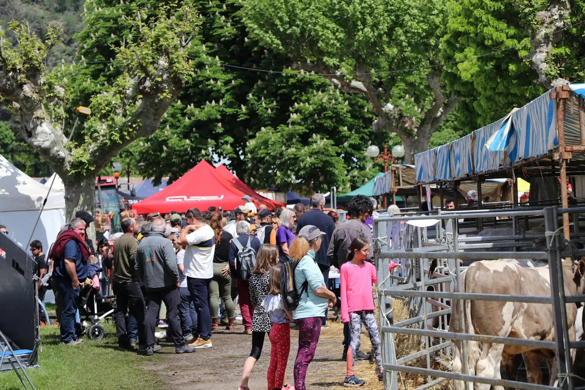 [VIDEO]La Foire du 8 mai à Tarascon-sur-Ariège fête sa 767e édition
