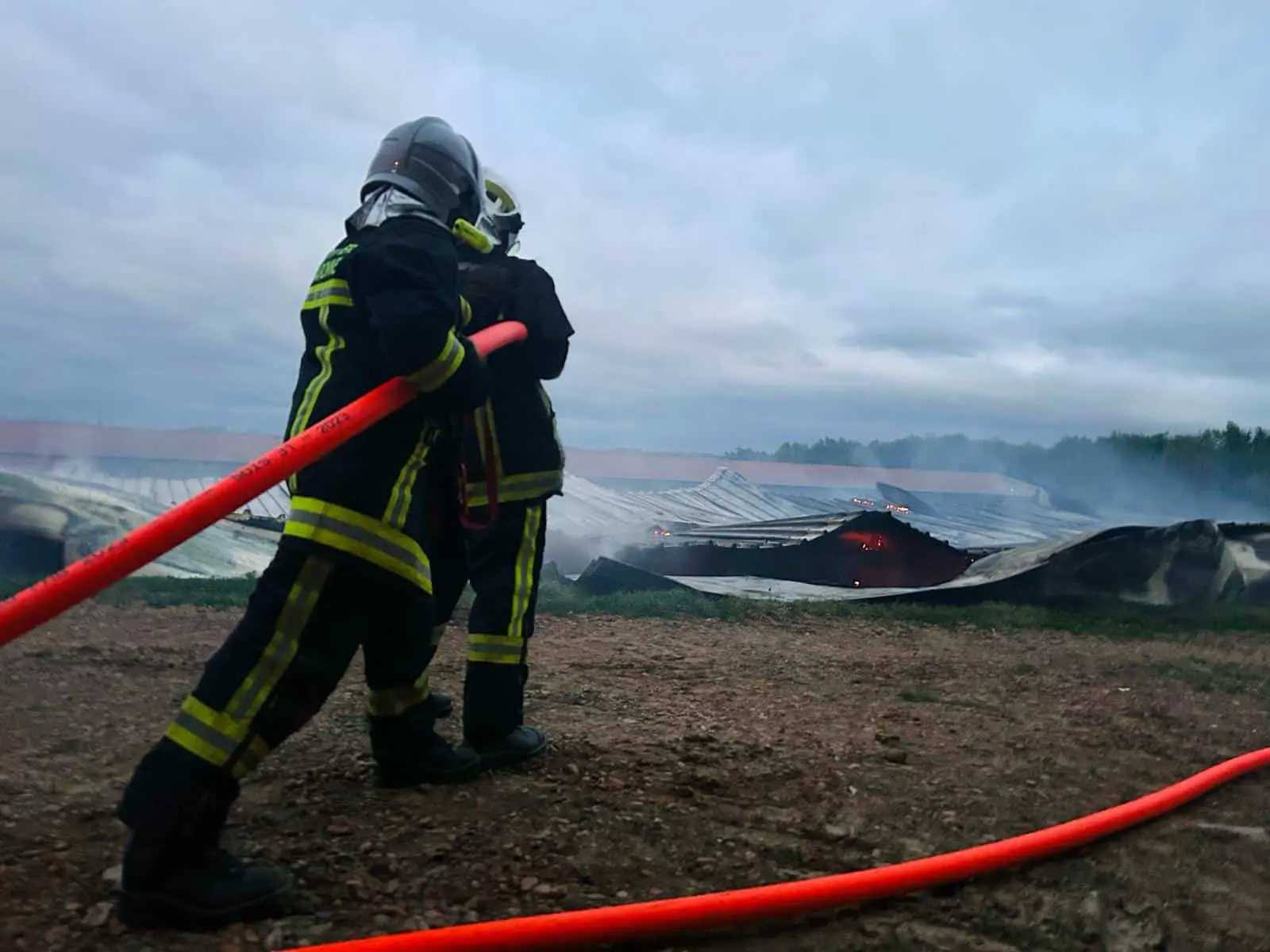 Des milliers de poussins carbonisés en Haute-Garonne