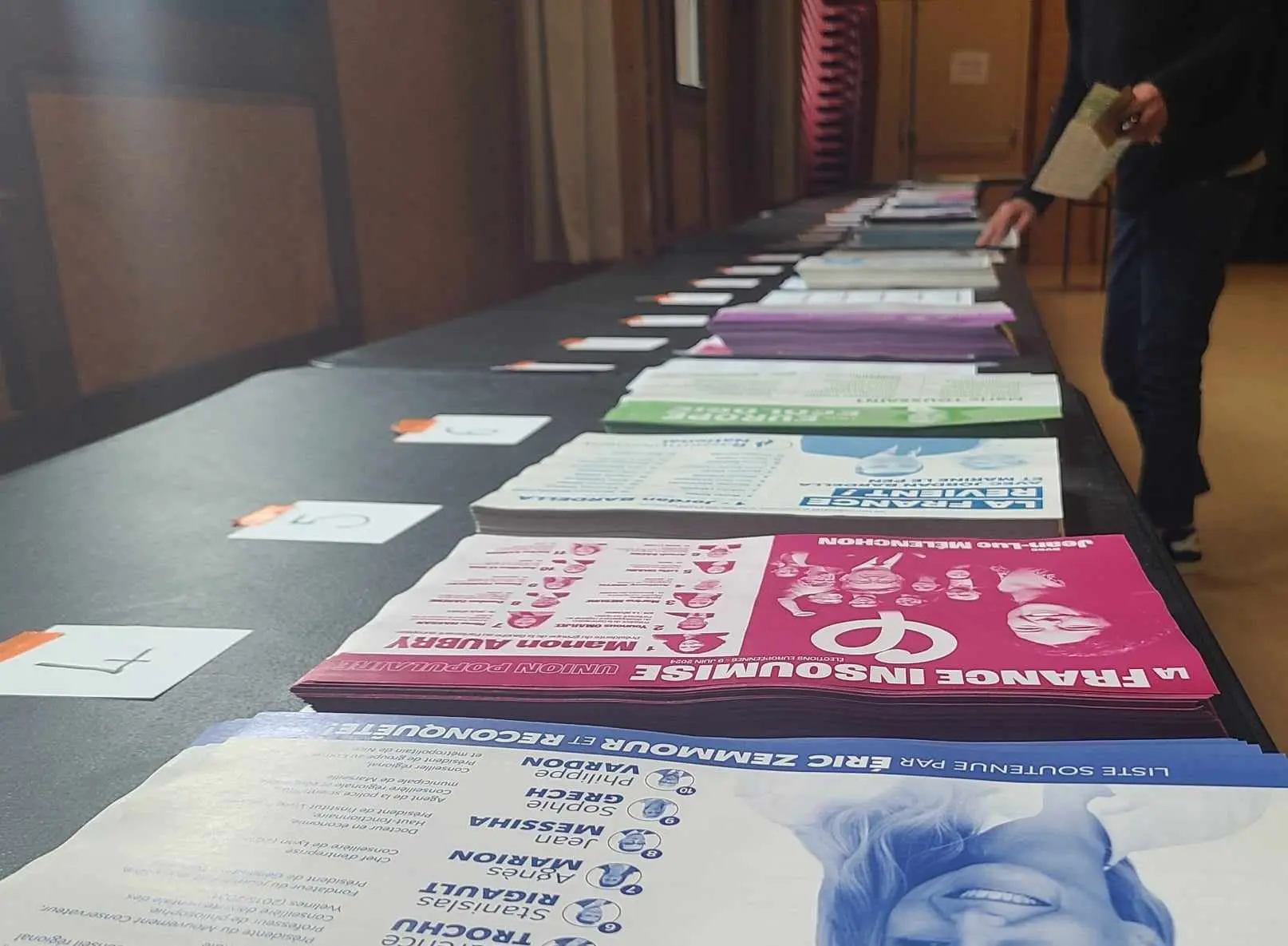 Ariège, Aude, Pyrénées Orientales : qui sont les candidats aux prochaines législatives ?