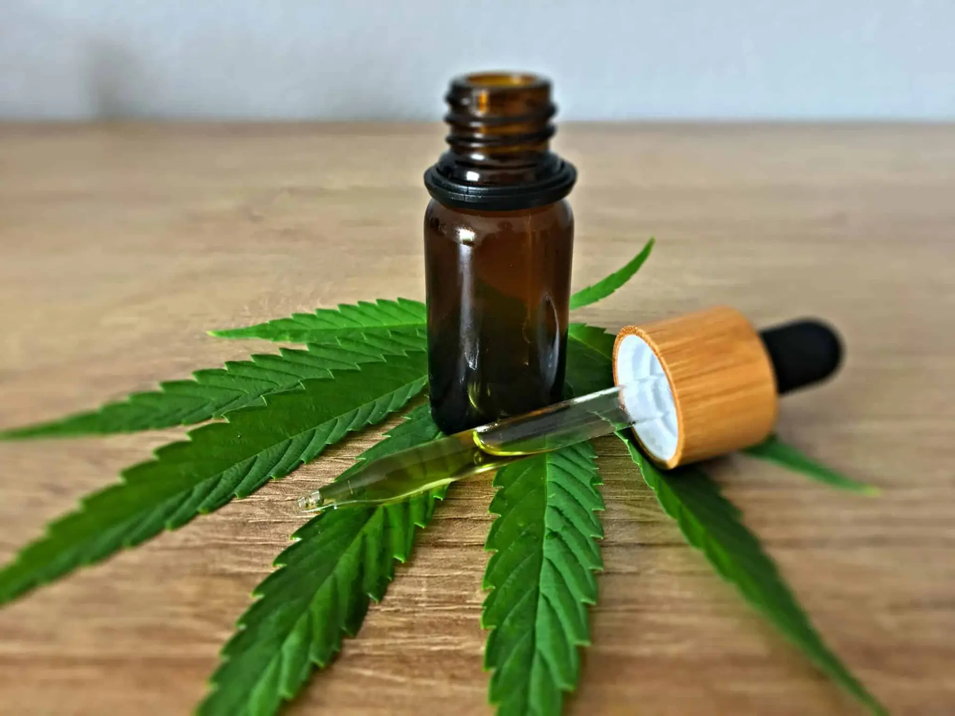 Insolite. Du CBD produit à partir de chanvre 100 % ariégeois !