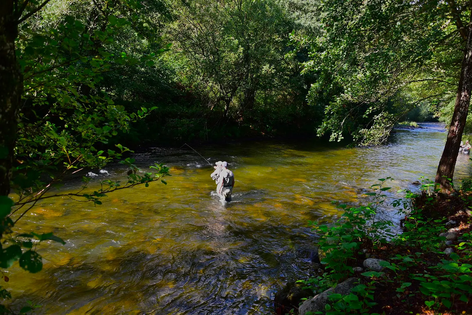 Ariège, Pyrénées Orientales, Aude: le 43e championnat du monde de pêche à la mouche est lancé