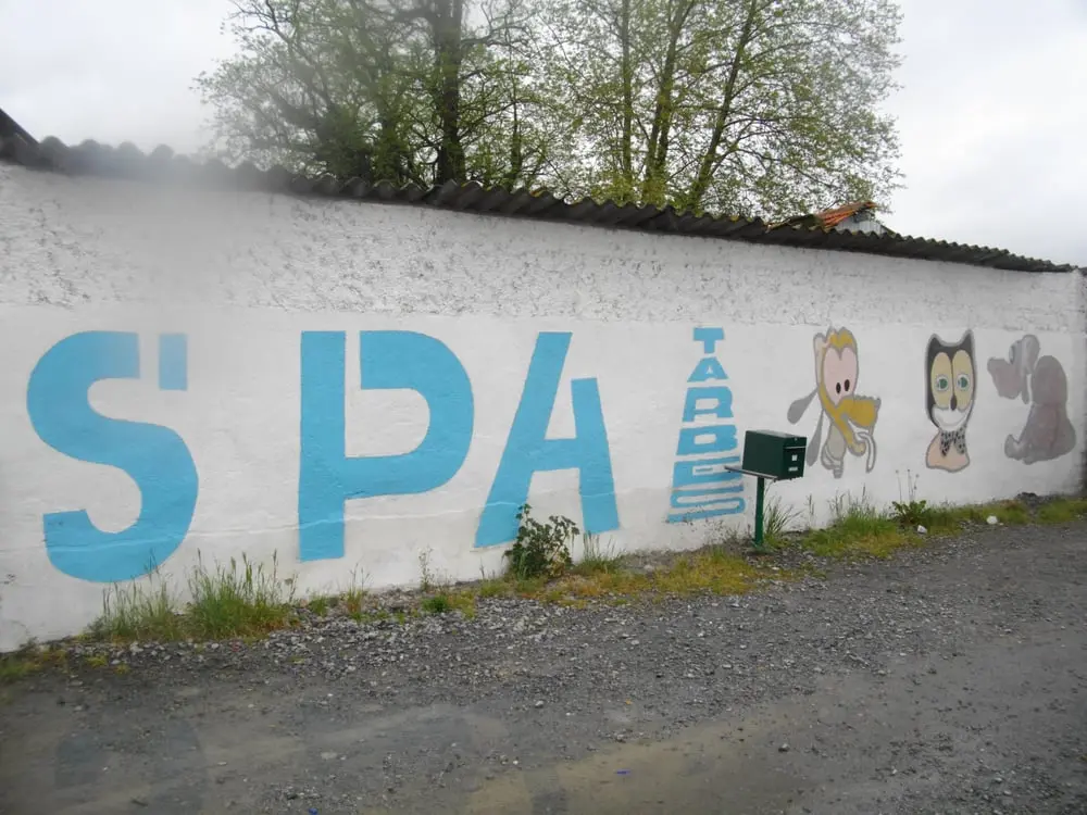Appel aux dons. 30 000 € de soins à rembourser à la SPA de Tarbes