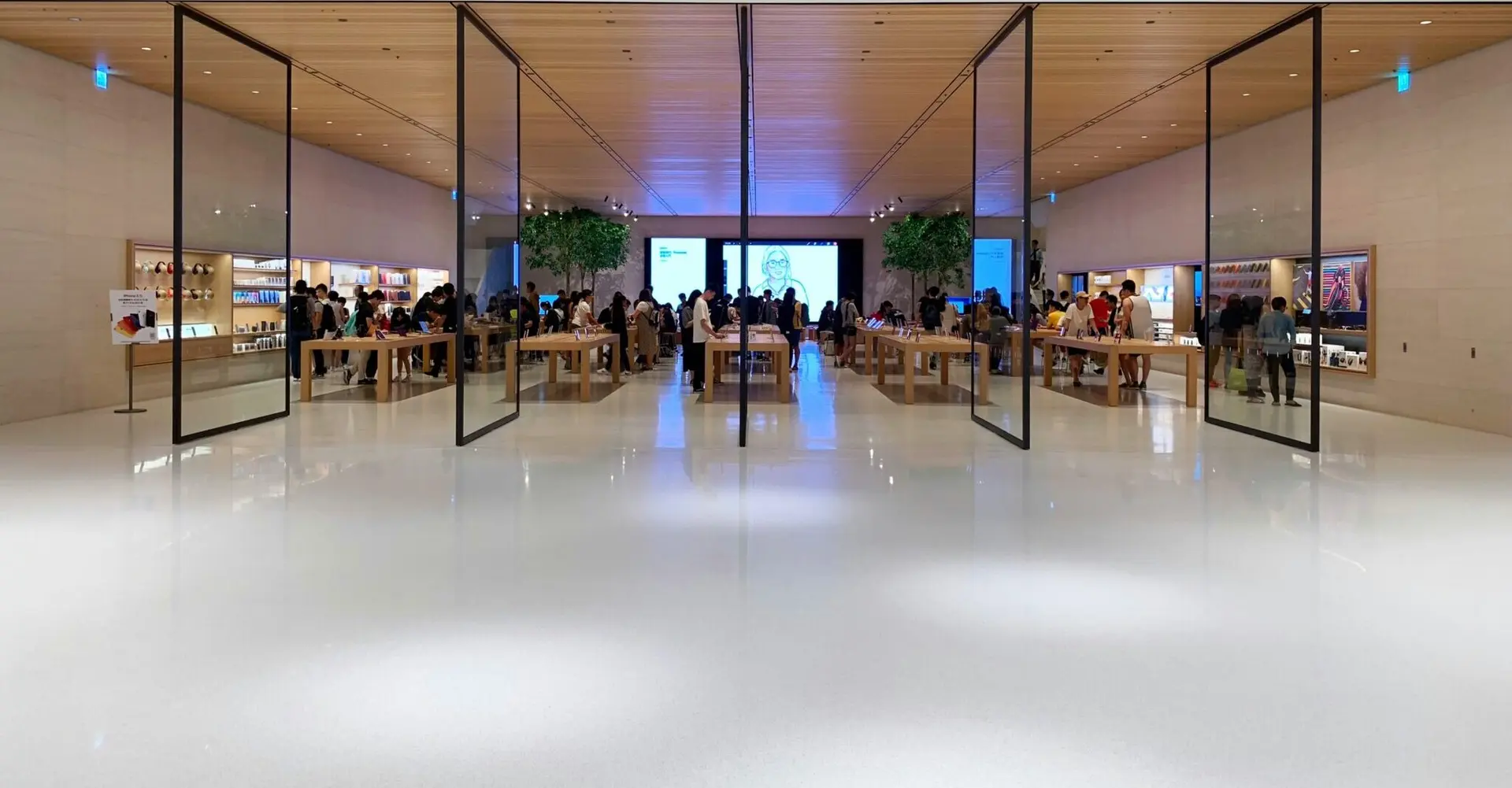 apple store boutique Les magasins C&C (Apple) de Pau, Labège et Tarbes cambriolés / Un nouveau cas de dengue dans les Pyrénées-Orientales… L’actu du week-end