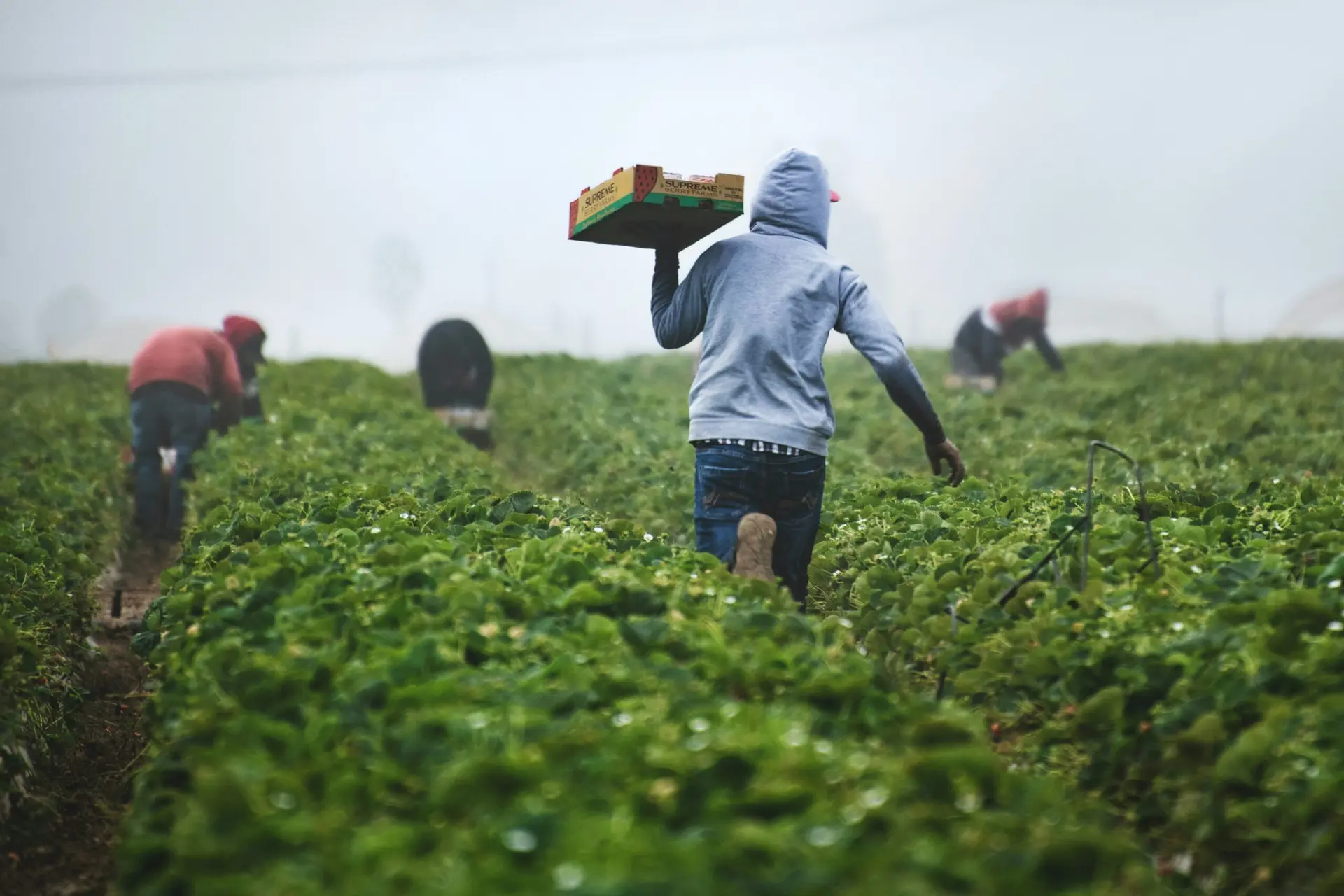 Foix : une journée pour découvrir les métiers de l’agriculture