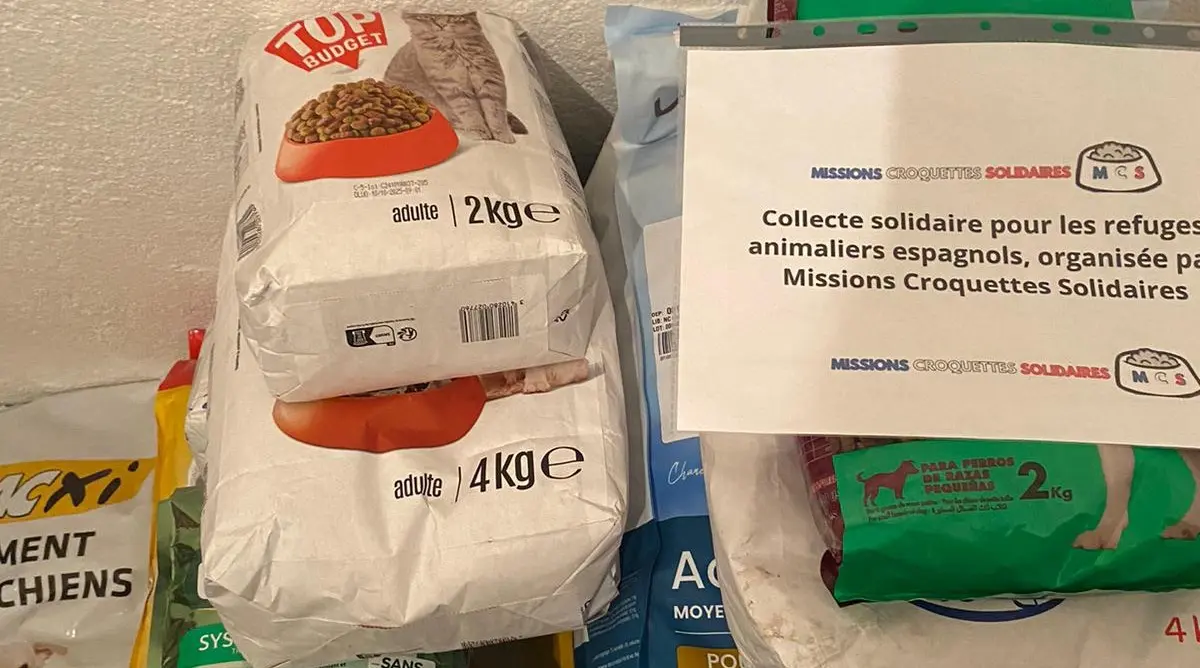 Intempéries en Espagne : à Perpignan, une collecte de dons pour soutenir les animaux sinistrés