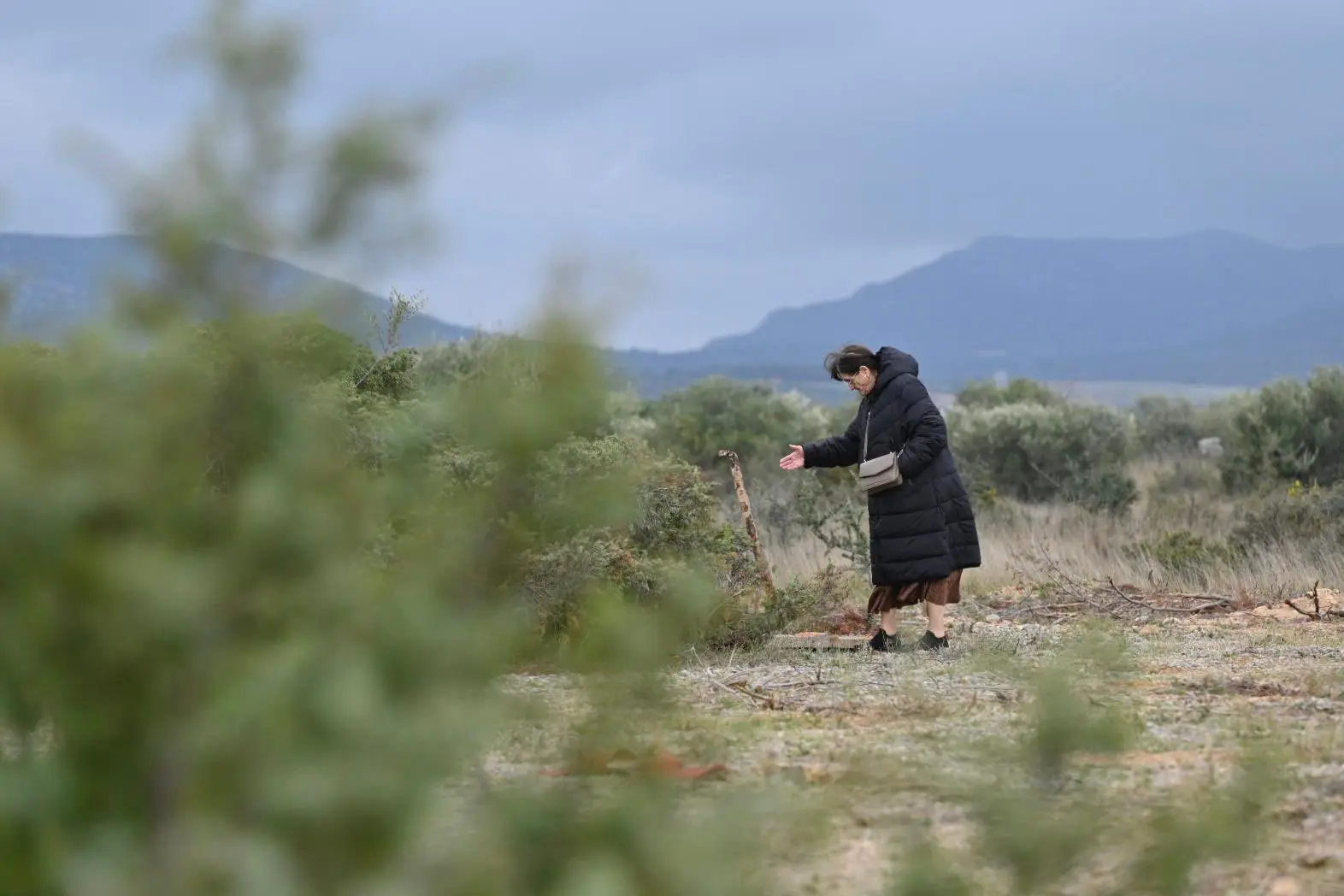 Pyrénées-Orientales. Rivesaltes : des recherches engagées pour identifier les dépouilles d’enfants harkis