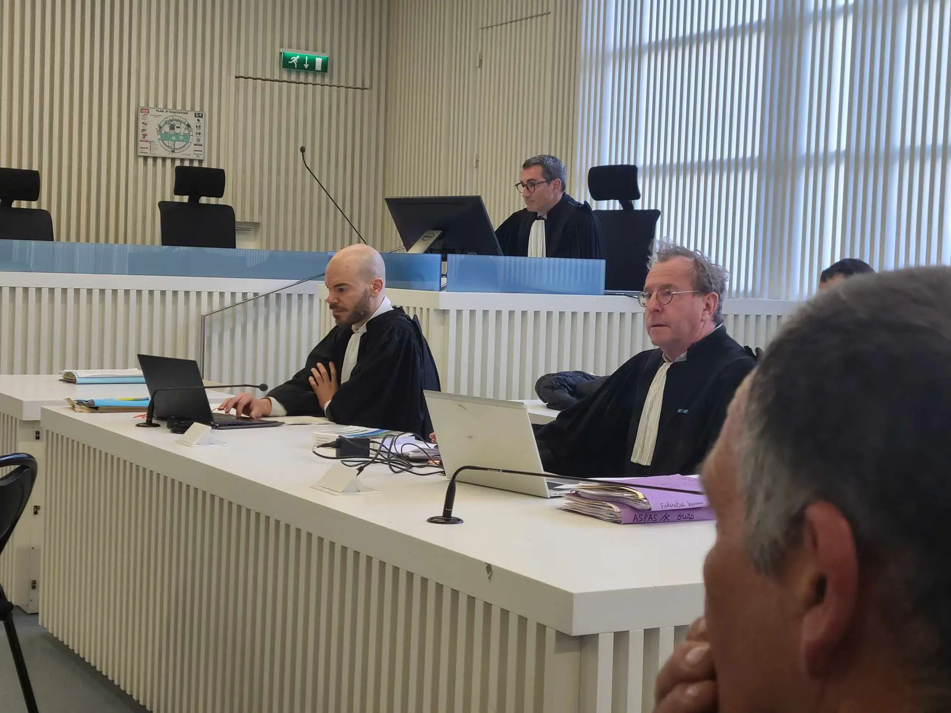 Procès de la mort de l’ourse Caramelles : les associations réclament plus de 460 000€ de préjudices