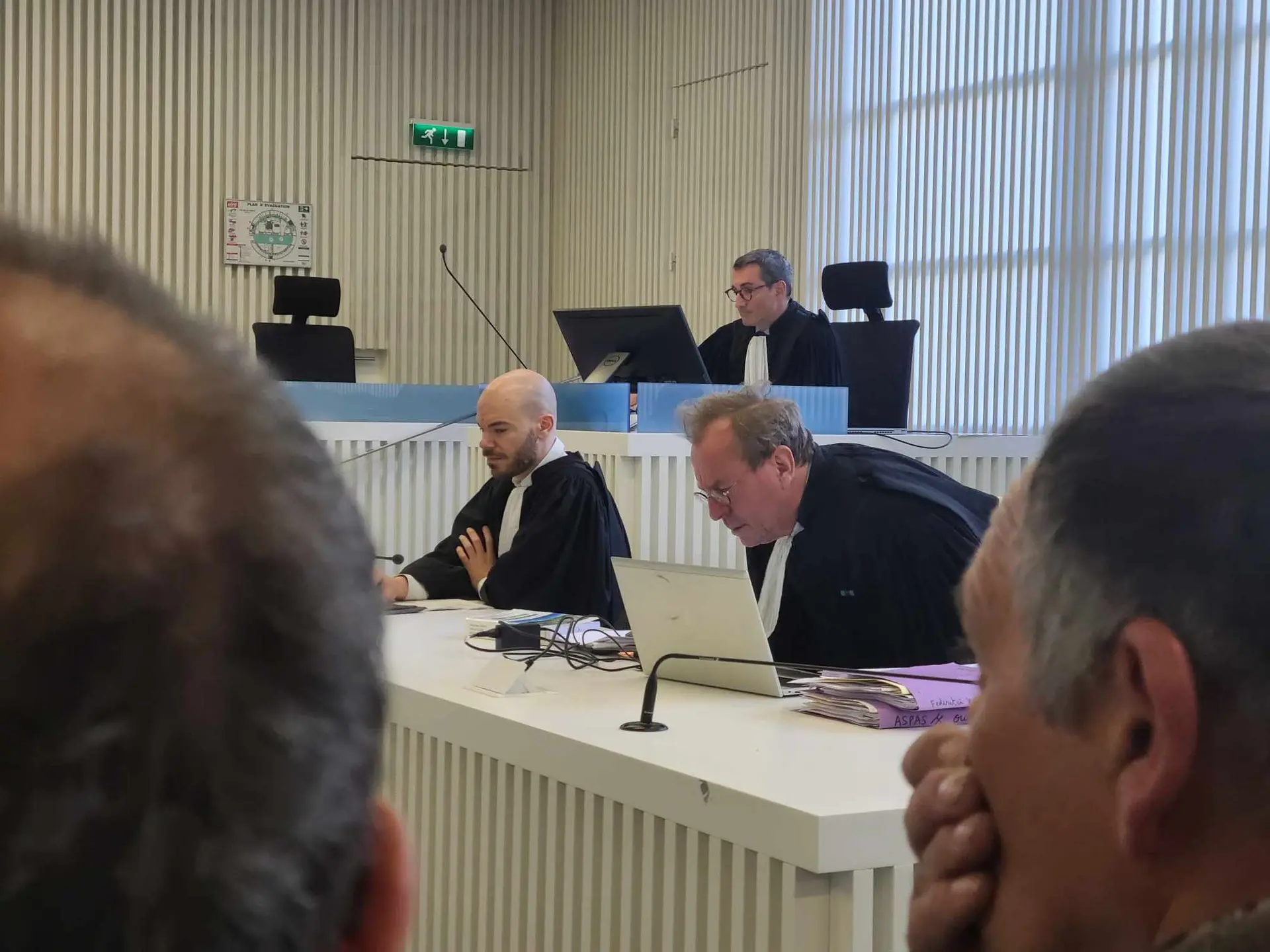 Procès de la mort de l’ourse Caramelles : un flou juridique au cœur du procès