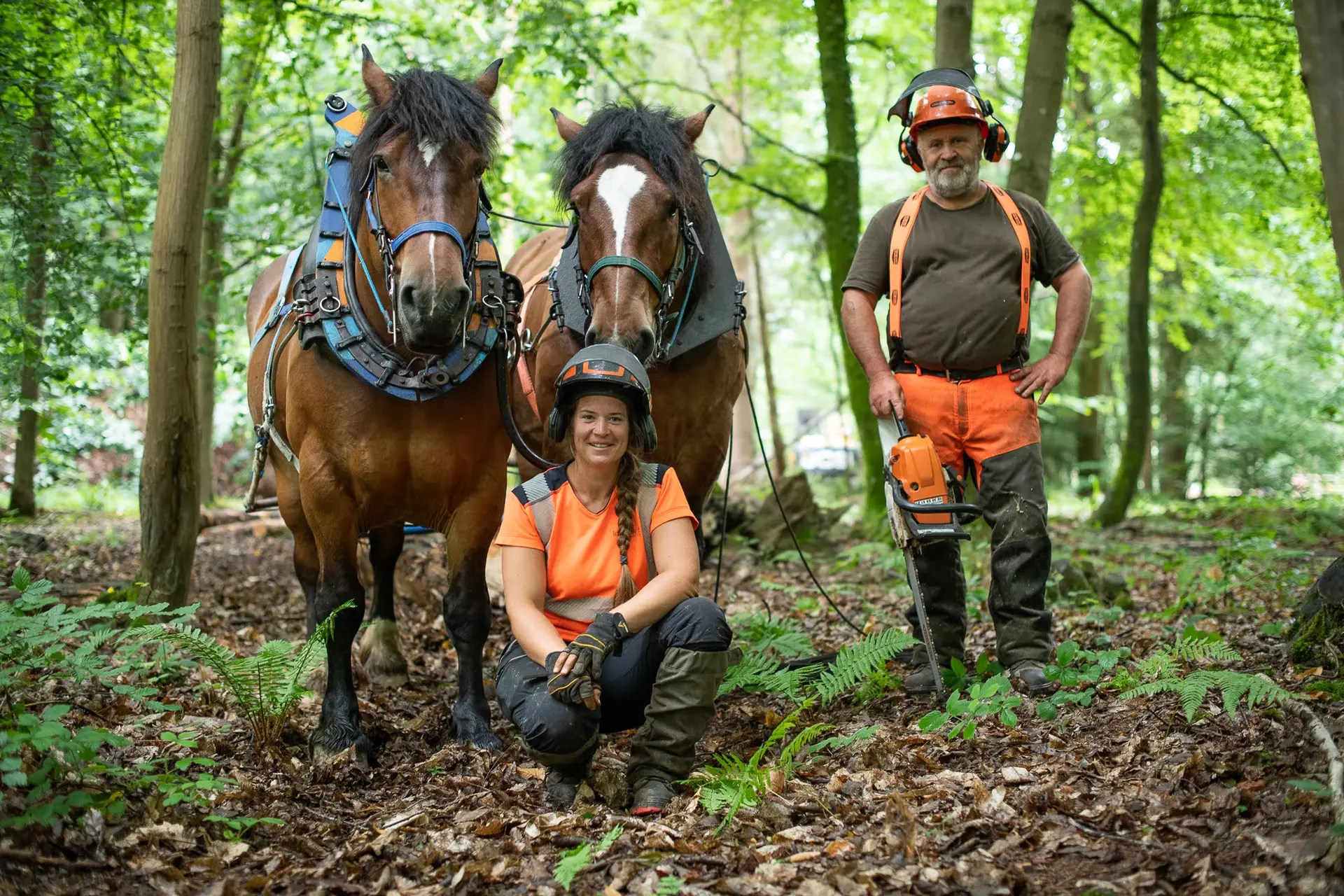 Nuits des Forêts 2025 : une programmation engagée en Ariège et dans l’Aude