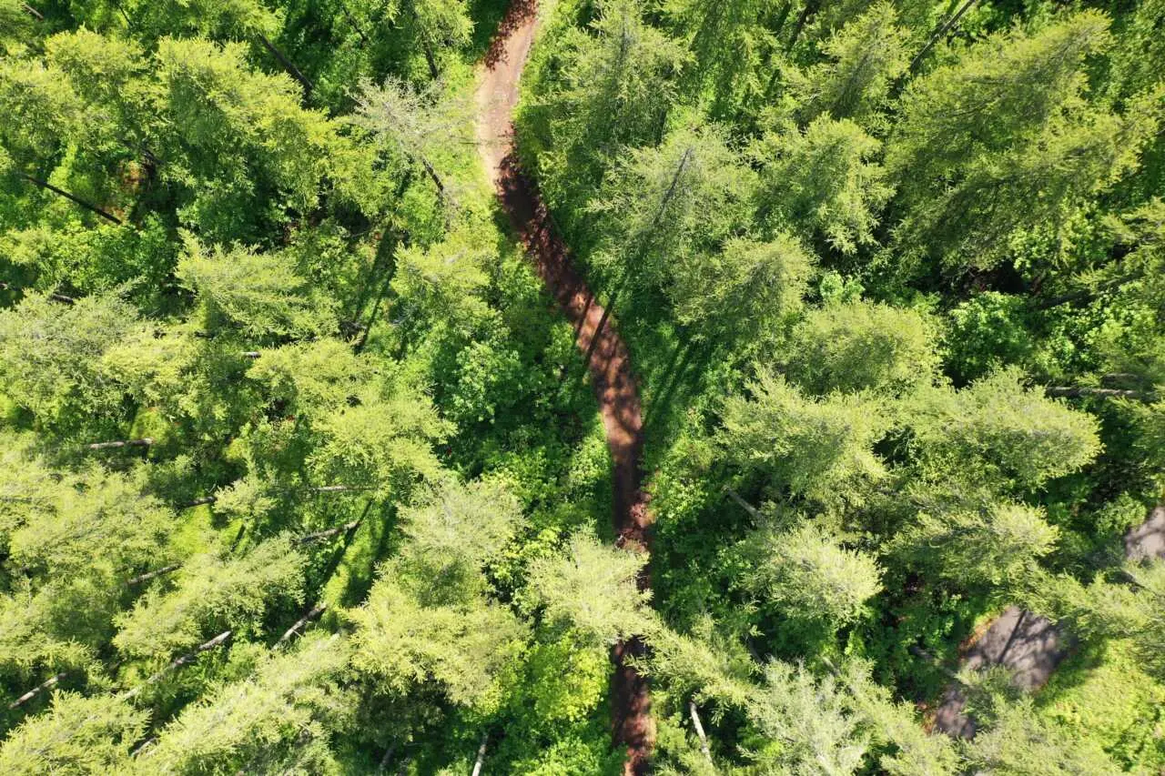 Aude : de nouvelles restrictions d’accès aux forêts en cas de risque incendie "extrême"
