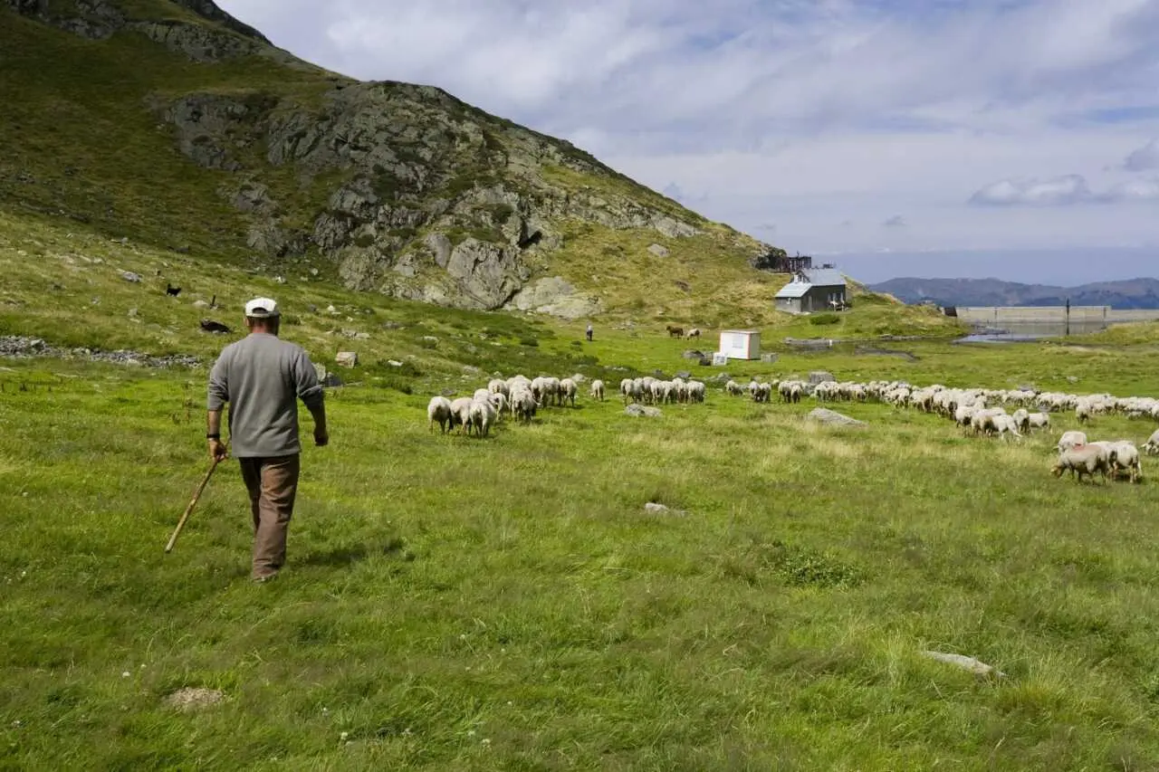 Des animations dans les refuges de montagne cet été Le Parc naturel régional anime Des animations dans les refuges de montagne cet été Le Parc naturel régional anime