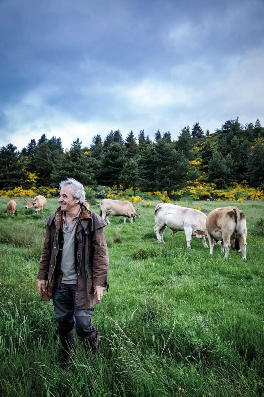 Pyrénées-Orientales. DNC : « Il y a un tel traumatisme chez les éleveurs qu’il y en a beaucoup qui ne vont pas repartir »