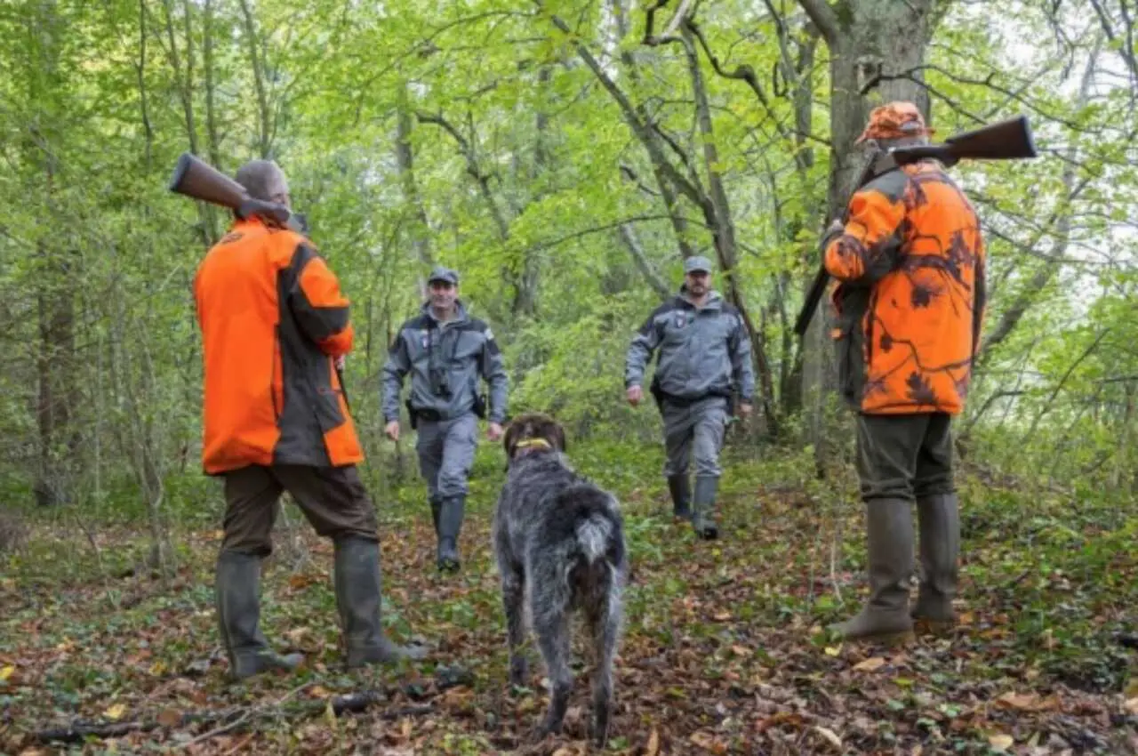 Ariège : « des contrôles vont être renforcés » sur la sécurité à la chasse, annonce la préfecture