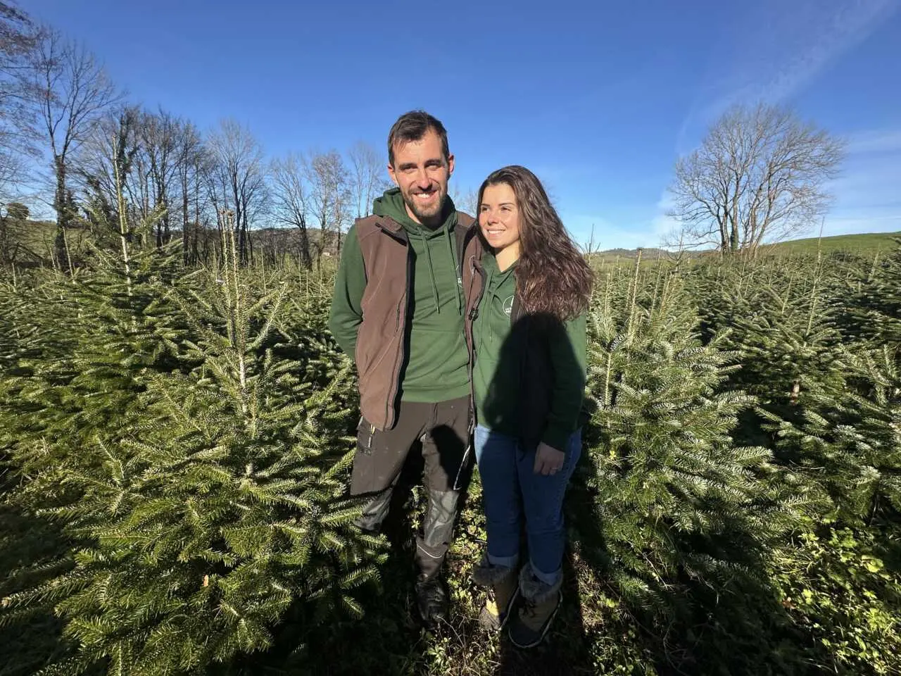Ils cultivent des sapins bio, sans produits phytosanitaires spécialement pour Noël
