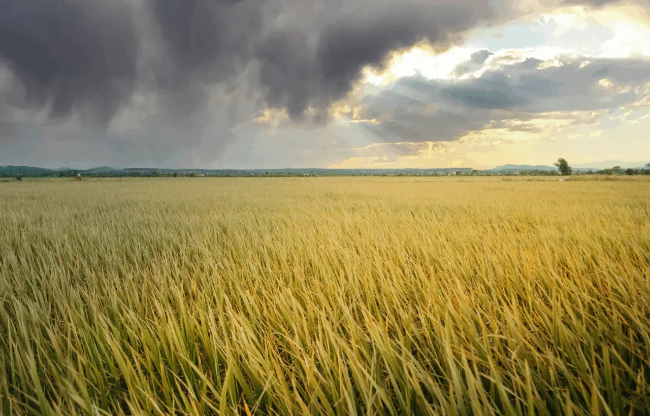 Ariège – Orages 2025 : le préfet annonce un dégrèvement de taxe foncière pour les agriculteurs sinistrés