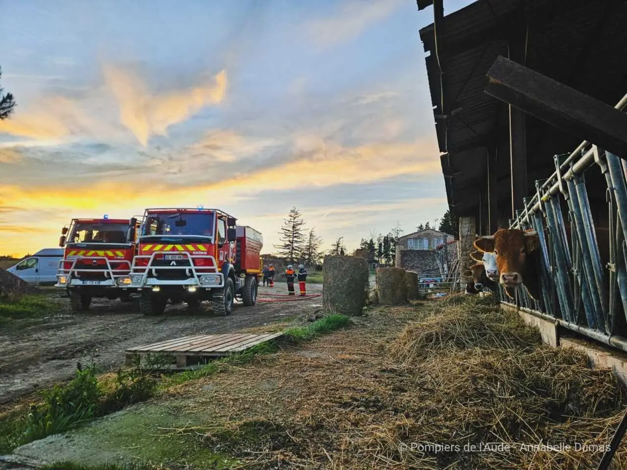 Aude : un incendie se déclare dans un hangar agricole à Saint-Michel-de-Lanes