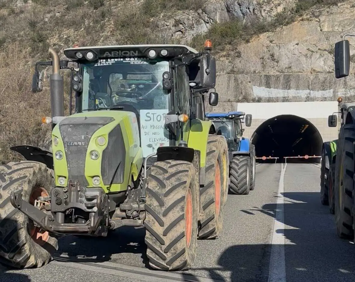 DNC en Ariège : les agriculteurs relancent la mobilisation contre l’abattage total