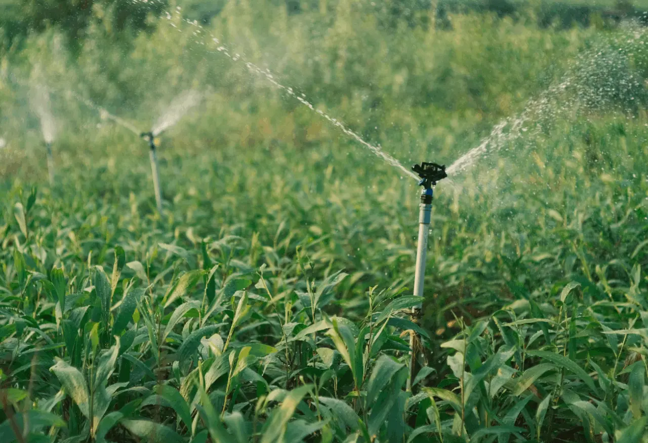 Hydraulique agricole : la Région Occitanie mobilise 11 M€ pour 21 projets collectifs
