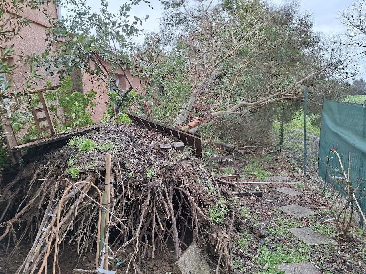 Tempête NILS en Ariège : vents violents, 50 communes touchées et 20 000 foyers privés d’électricité Tempête NILS en Ariège : vents violents, 50 communes touchées et 20 000 foyers privés d’électricité