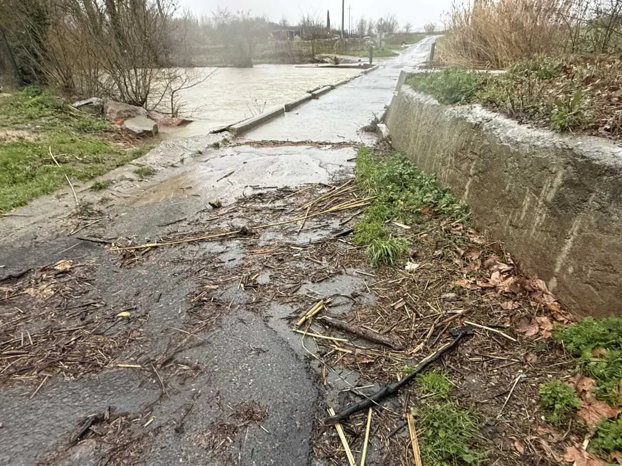 Aude : après trois tempêtes, l’ensemble des massifs forestiers est rouvert au public
