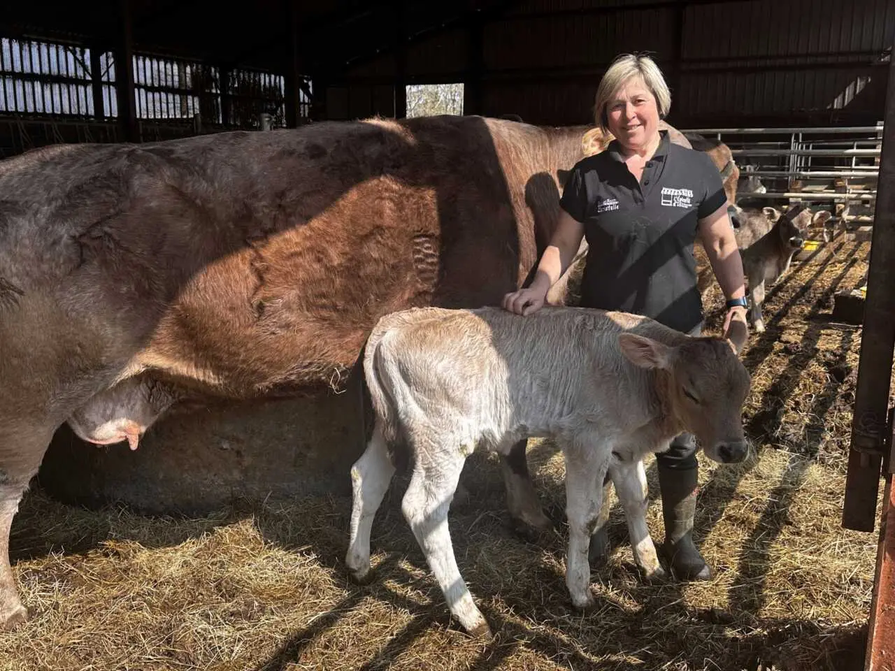Une ferme à l’arrêt pour avoir refusé de vacciner son troupeau Une ferme à l’arrêt pour avoir refusé de vacciner son troupeau