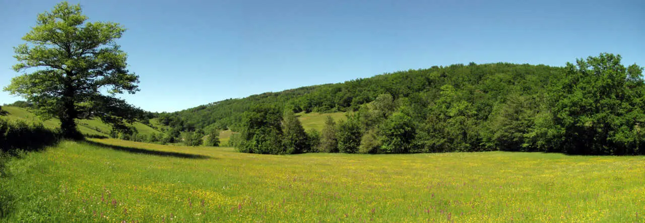 Soigner les soignants  au parc des Pyrénées ariégeoises