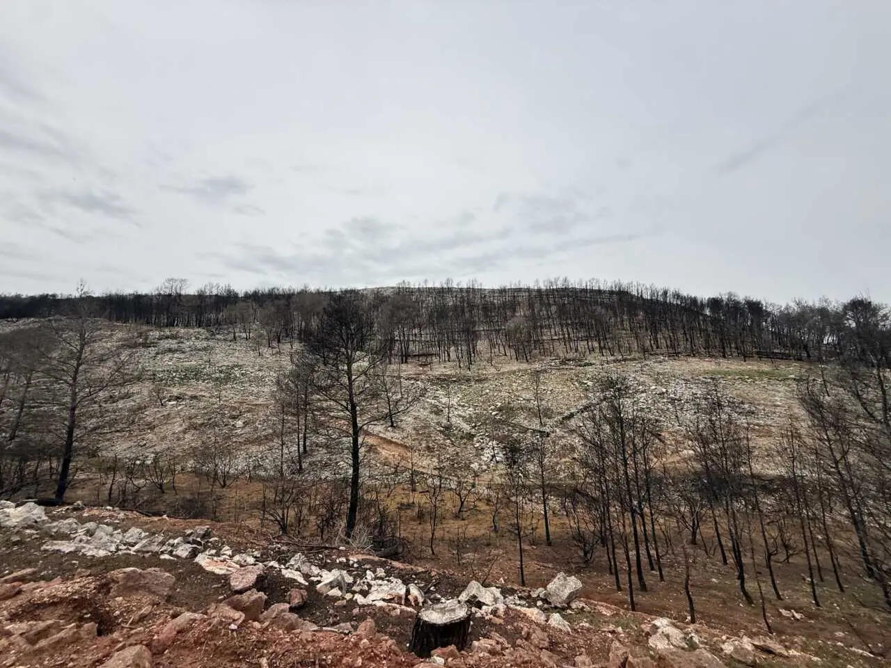 Aude : réouverture du sentier cathare après l’incendie des Corbières Aude : réouverture du sentier cathare après l’incendie des Corbières