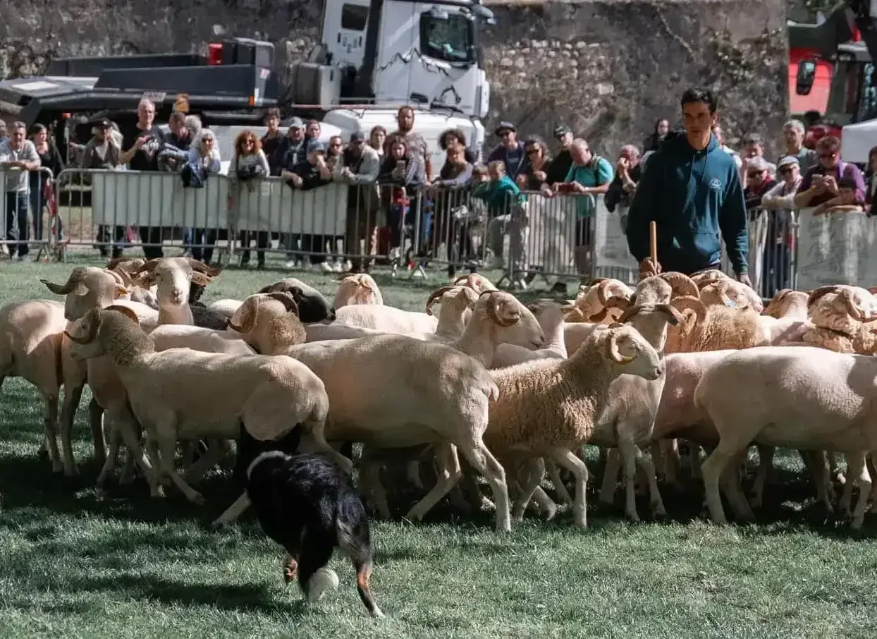 Tarascon-sur-Ariège : bientôt le coup d’envoi de la 767ème Foire de printemps Tarascon-sur-Ariège : bientôt le coup d’envoi de la 767ème Foire de printemps