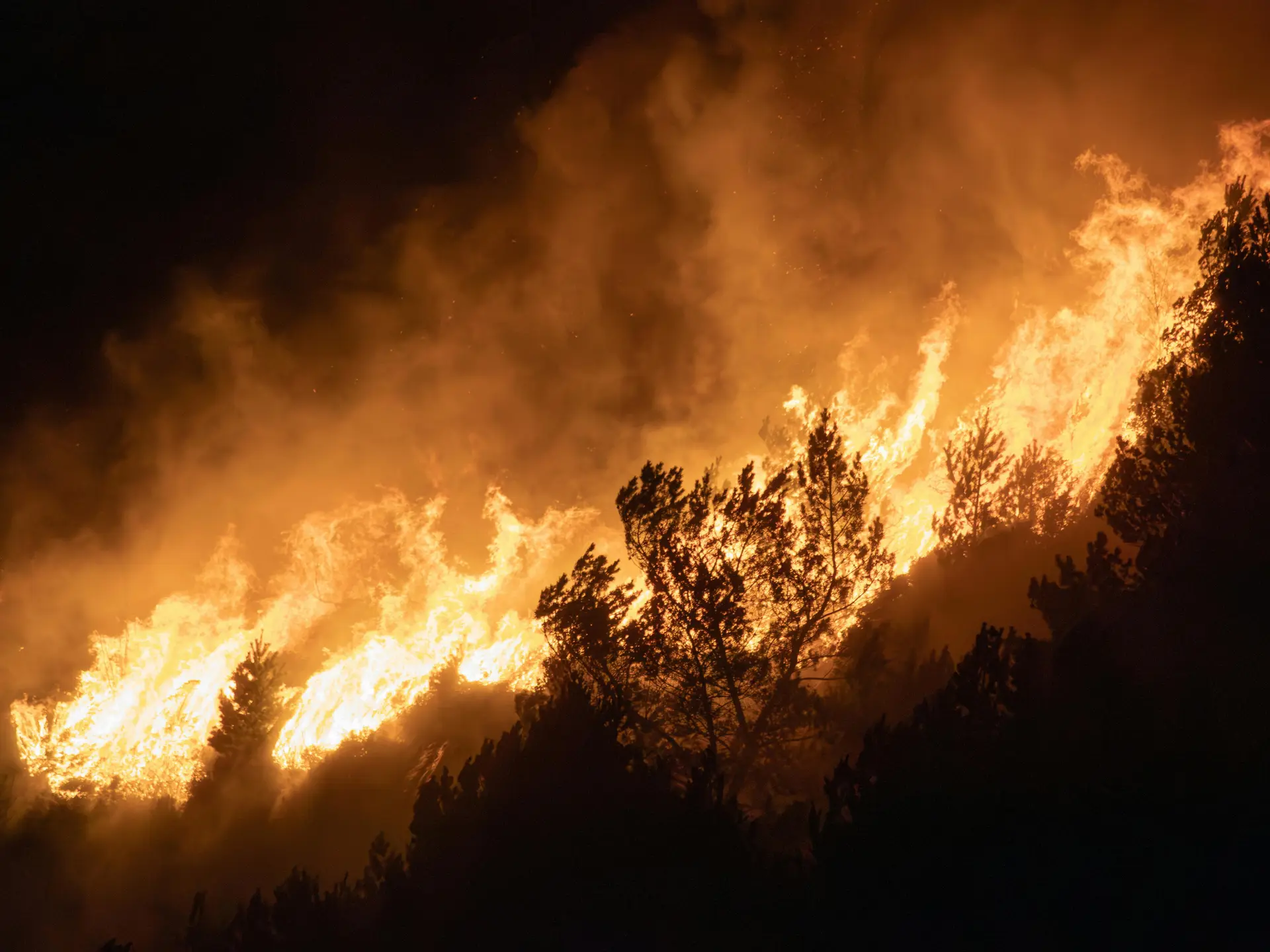 « Nous relançons les opérations ce matin » : après une nuit de lutte, et plus de 15 hectares brulés, les opérations reprennent à Bordes-Uchentein