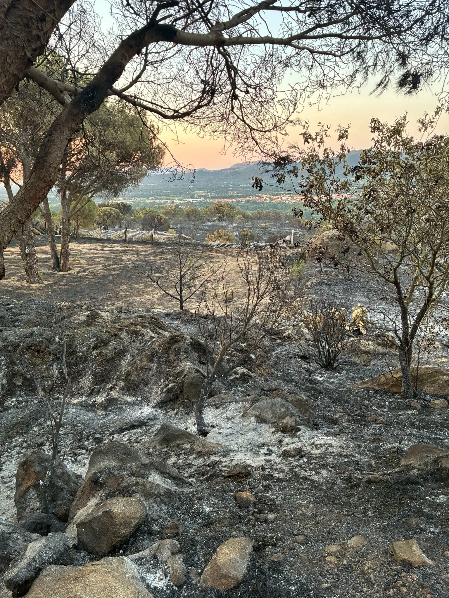 Feu dans les Pyrénées Orientales sous contrôle , mais la menace persiste : "15 communes toujours évacuées"