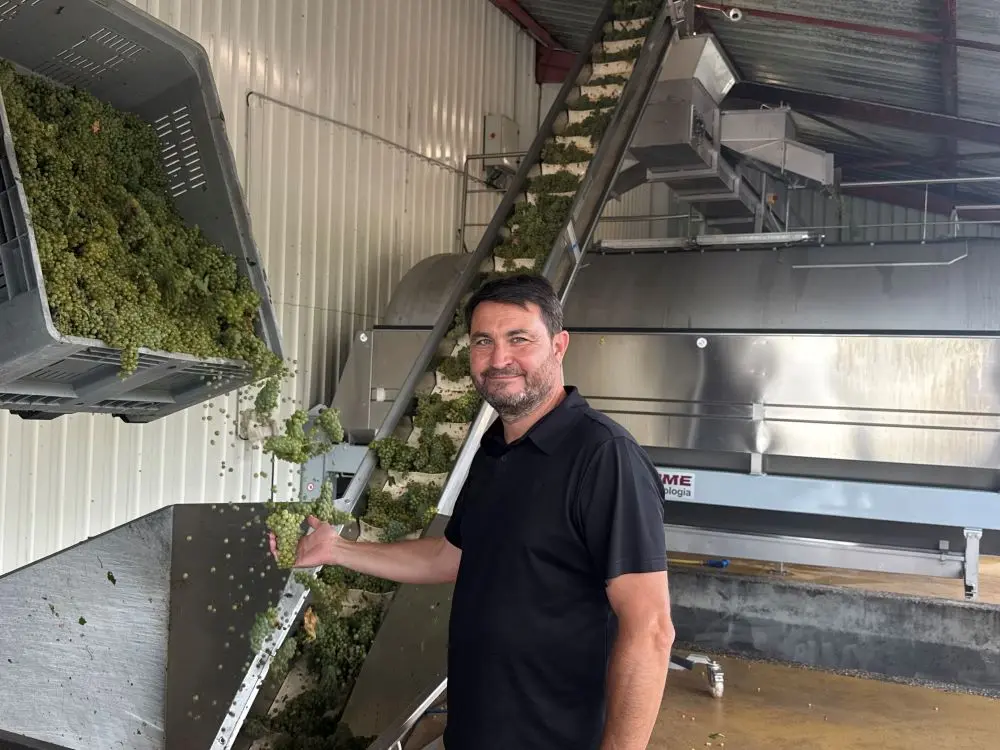 Près de Limoux, le Domaine J. Laurens lance des vendanges exceptionnellement précoces