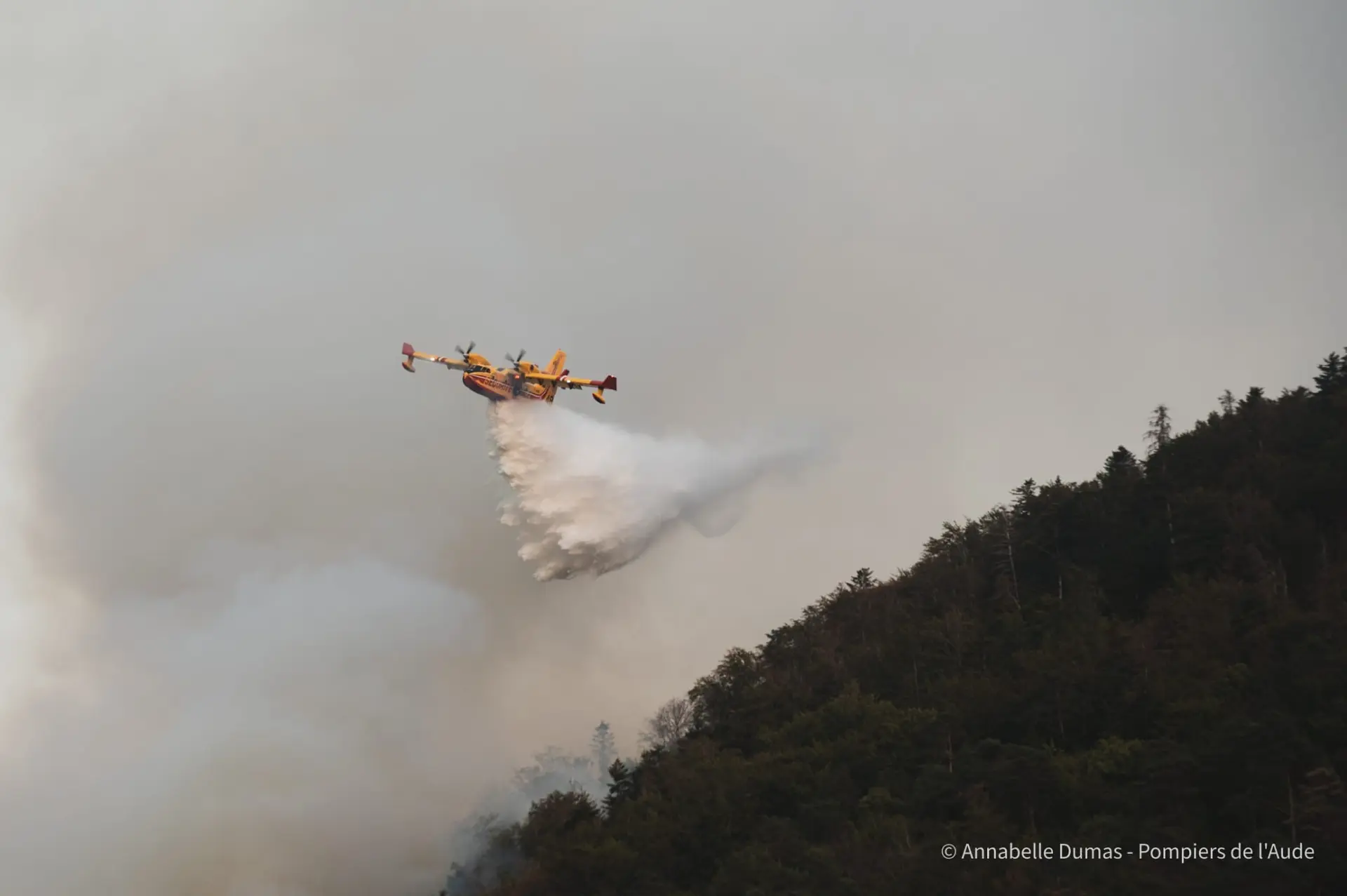 Incendie à Salles-d'Aude : 200 sapeurs-pompiers mobilisés, l'A9 coupée dans les deux sens