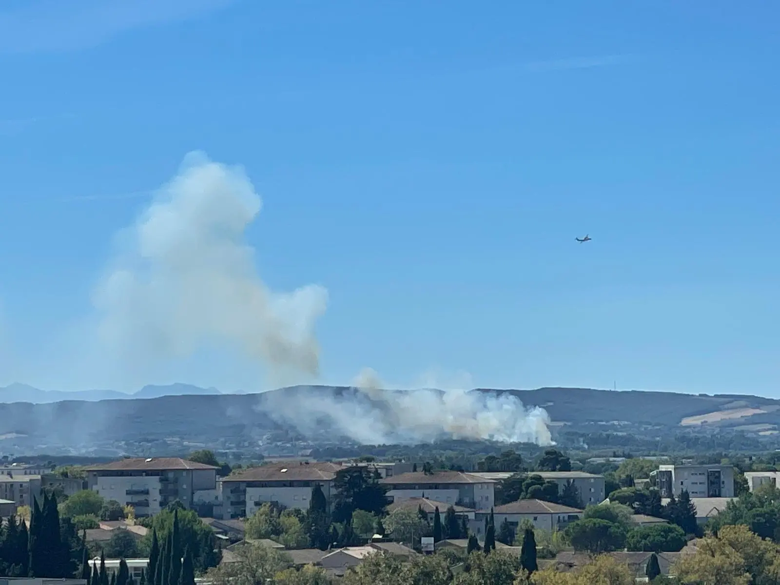 Aude : un feu de pinède près de l’A61 à hauteur de Carcassonne, 1 à 2 hectares parcourus