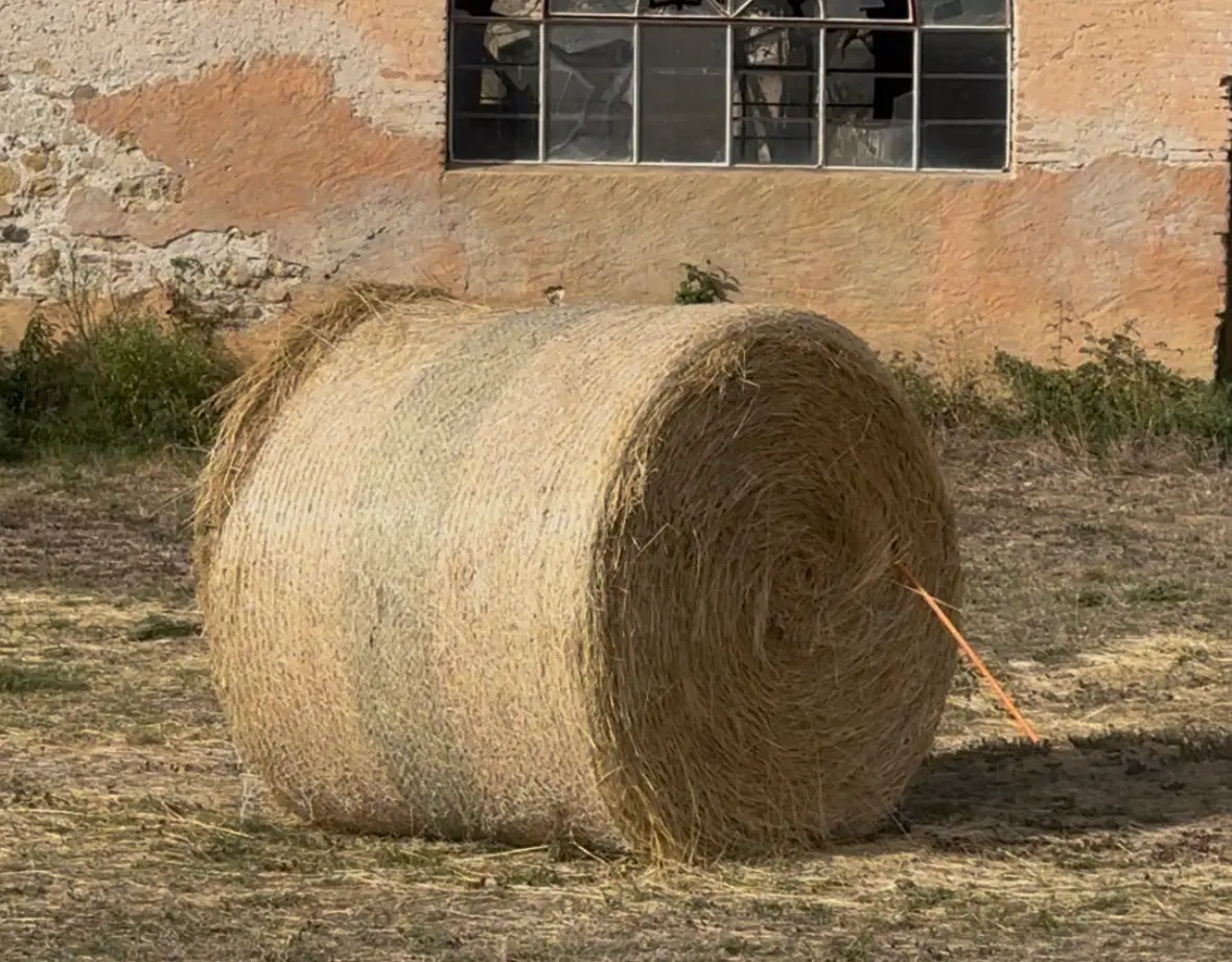 « On peut très clairement dire qu’il n’y a plus de foin dans les trois quarts de l'Europe » : l’alerte du président de la chambre d’agriculture de l’Ariège