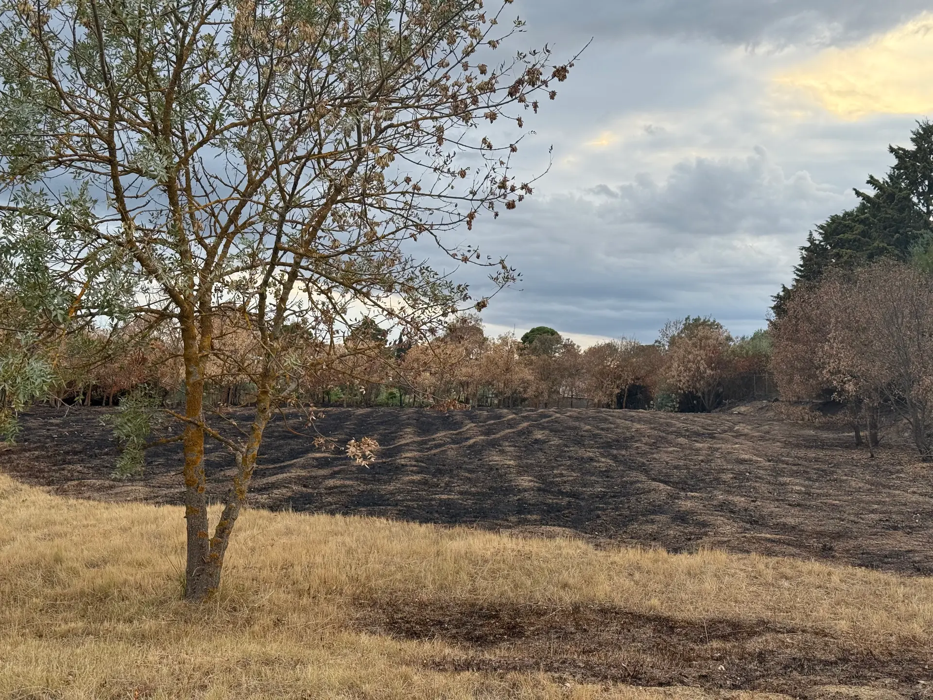 Risque incendie : l’Aude reste sous vigilance face à la sécheresse en cette fin de saison estivale