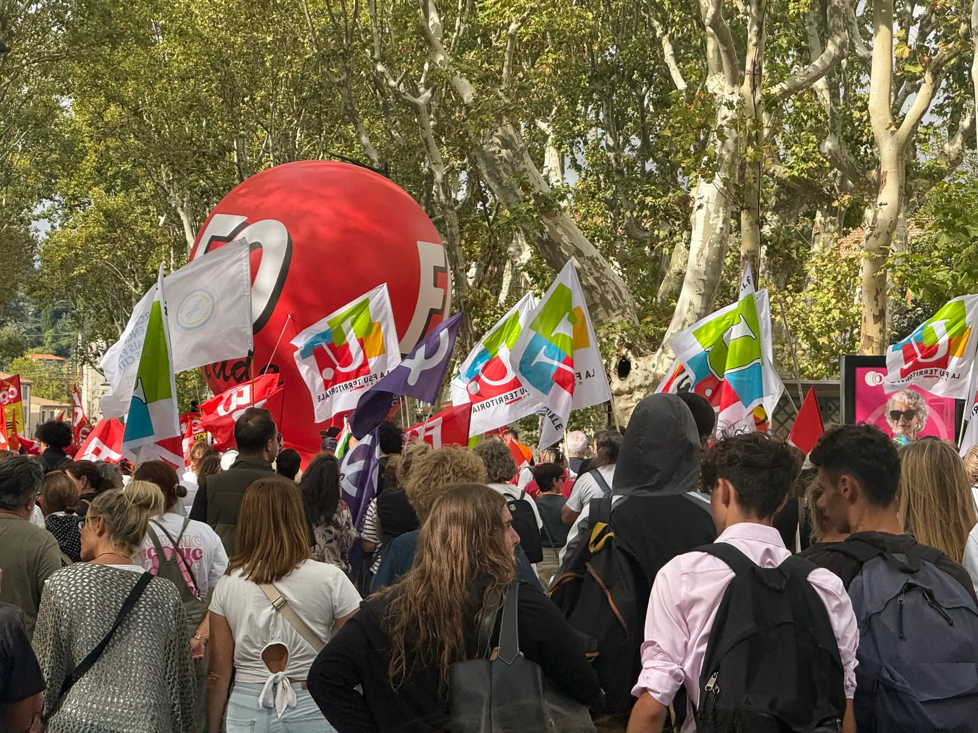 Salaires, pouvoir d'achat, prix du carburant... Près de 550 manifestants mobilisés pour la fonction publique à Carcassonne