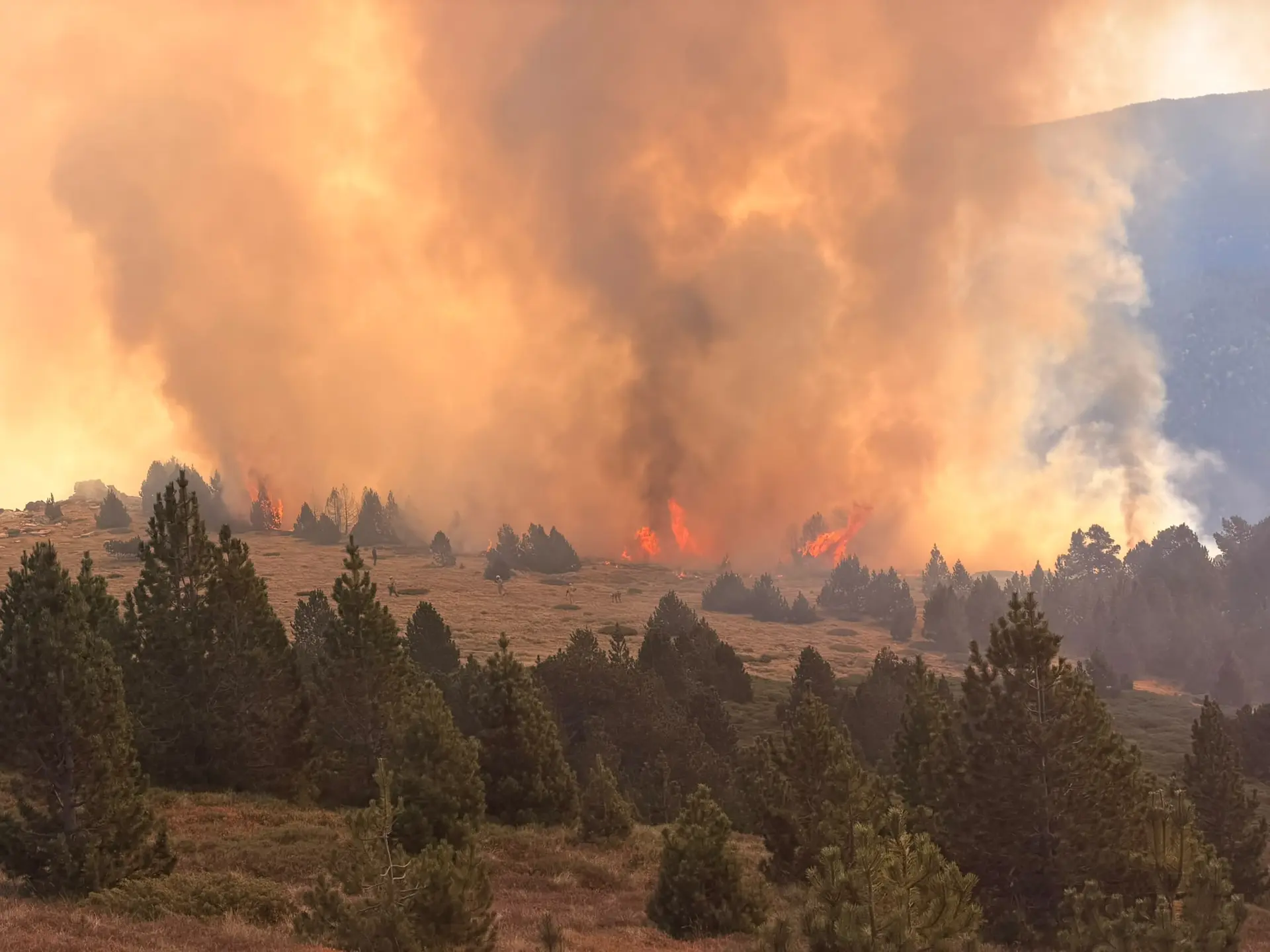 Incendies en Ariège : à Mijanès, Saurat et Perles-et-Castelet, plus de 300 hectares brûlés, des renforts mobilisés dont quatre Canadair et deux Dash
