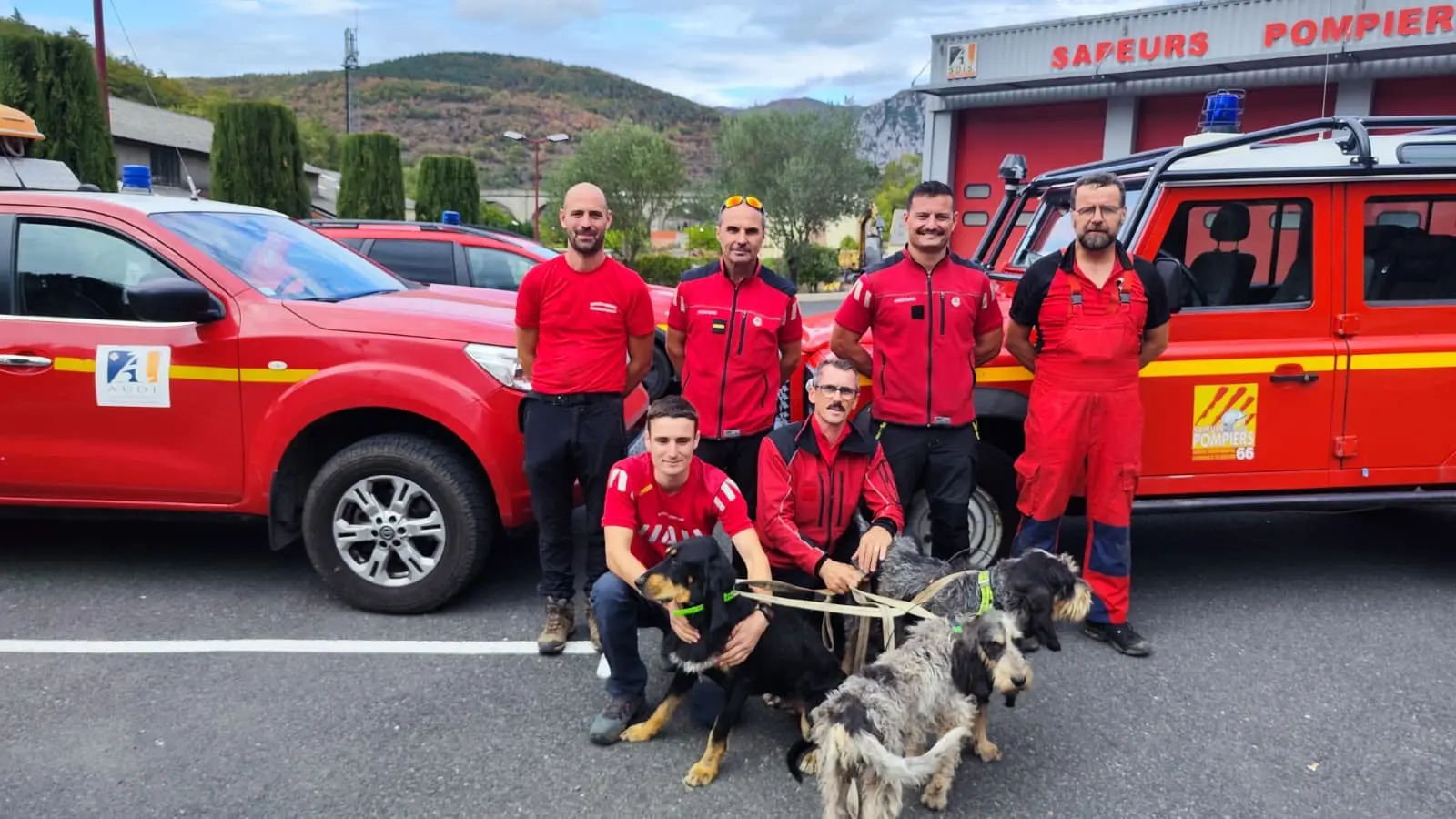 Aude : quatre chiens piégés sur une barre rocheuse sauvés par les sapeurs-pompiers
