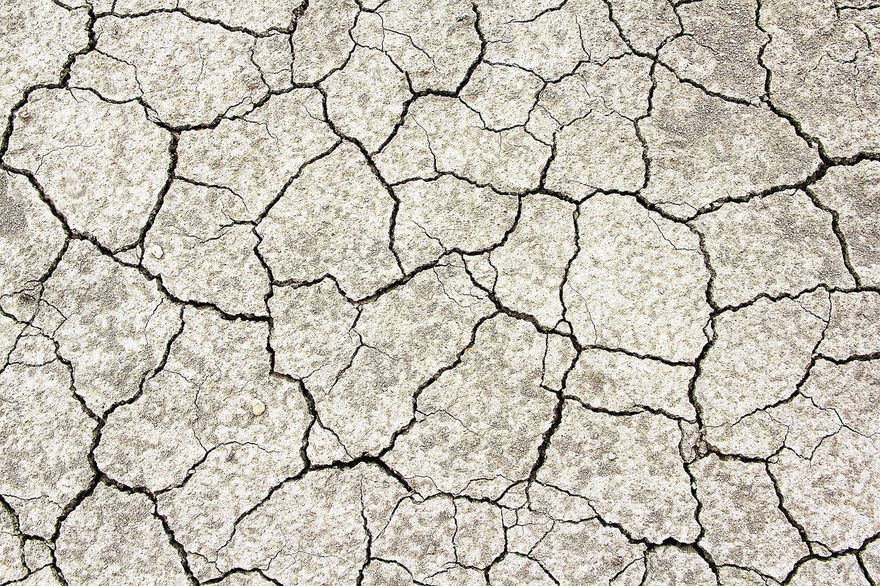 Occitanie : la sécheresse touche un premier département