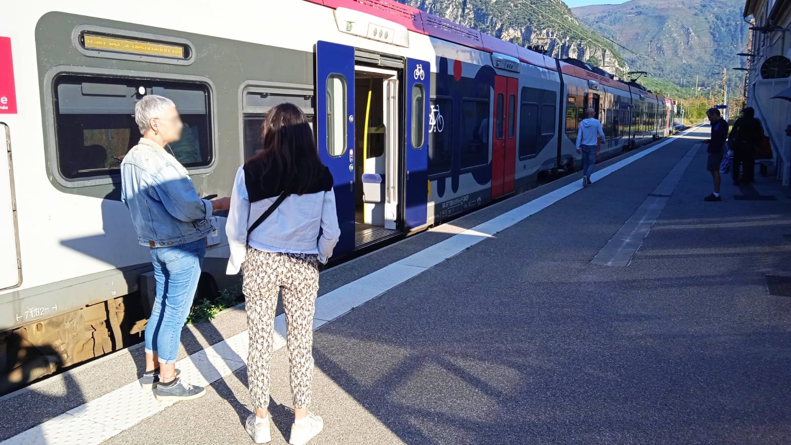 Trafic SNCF: « Un train de nuit aurait percuté un troupeau de moutons entre Luzenac et Ax les thermes »