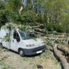 Violentes rafales à Ax-les-thermes: 5 voitures endommagées à cause de la chute d’un arbre