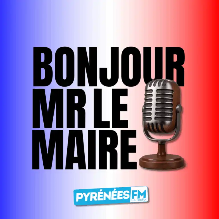 Bonjour Mr le Maire