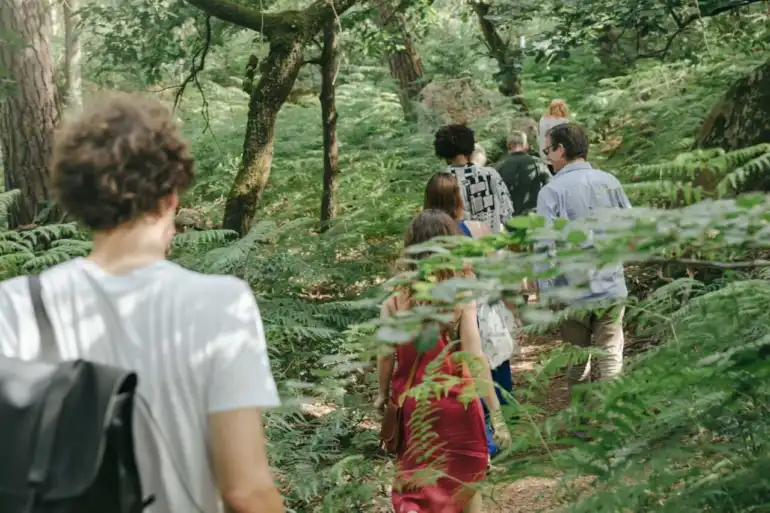 Balades, concerts et contes : lâ€™Occitanie vit au rythme des Nuits des ForÃªts