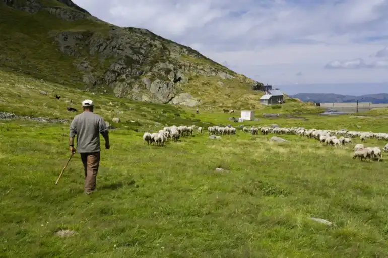 Des animations dans les refuges de montagne cet Ã©tÃ© Le Parc naturel rÃ©gional anime