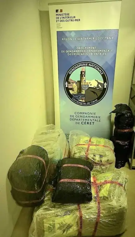 PyrÃ©nÃ©es Orientales : 55 kg de cannabis saisis sur la D914, un trafiquant condamnÃ©
